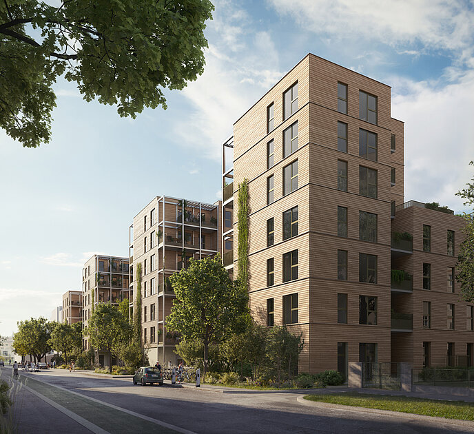 Baumstadt Floridsdorf 3 - Visualisierung Baumstadt Floridsdorf 3 - Visualisierung