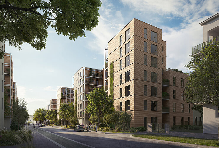 Baumstadt Floridsdorf 3 - Visualisierung Baumstadt Floridsdorf 3 - Visualisierung