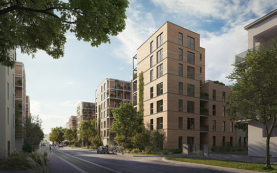 Baumstadt Floridsdorf 3 - Visualisierung