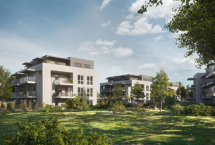 IFA Investment Baumstadt Tiergartenweg_32_Visualisierung