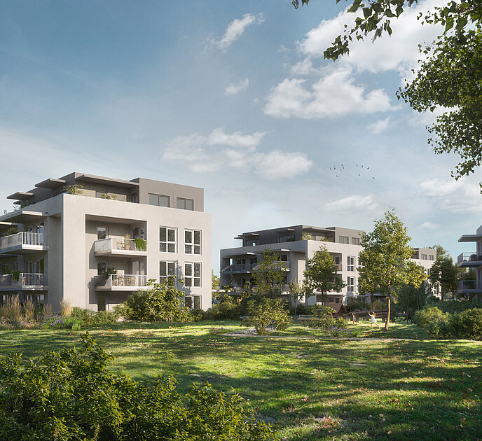 IFA Investment Baumstadt Tiergartenweg_32_Visualisierung IFA Investment Baumstadt Tiergartenweg_32_Visualisierung
