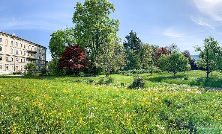 Visualisierung Klosterpark Salzburg Visualisierung Klosterpark Salzburg