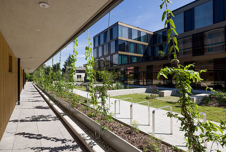 IFA Prime Investment V33, Salzburg_Fertigstellung